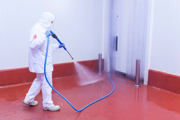 Professional Pressure Washing Services in Trinity, NC